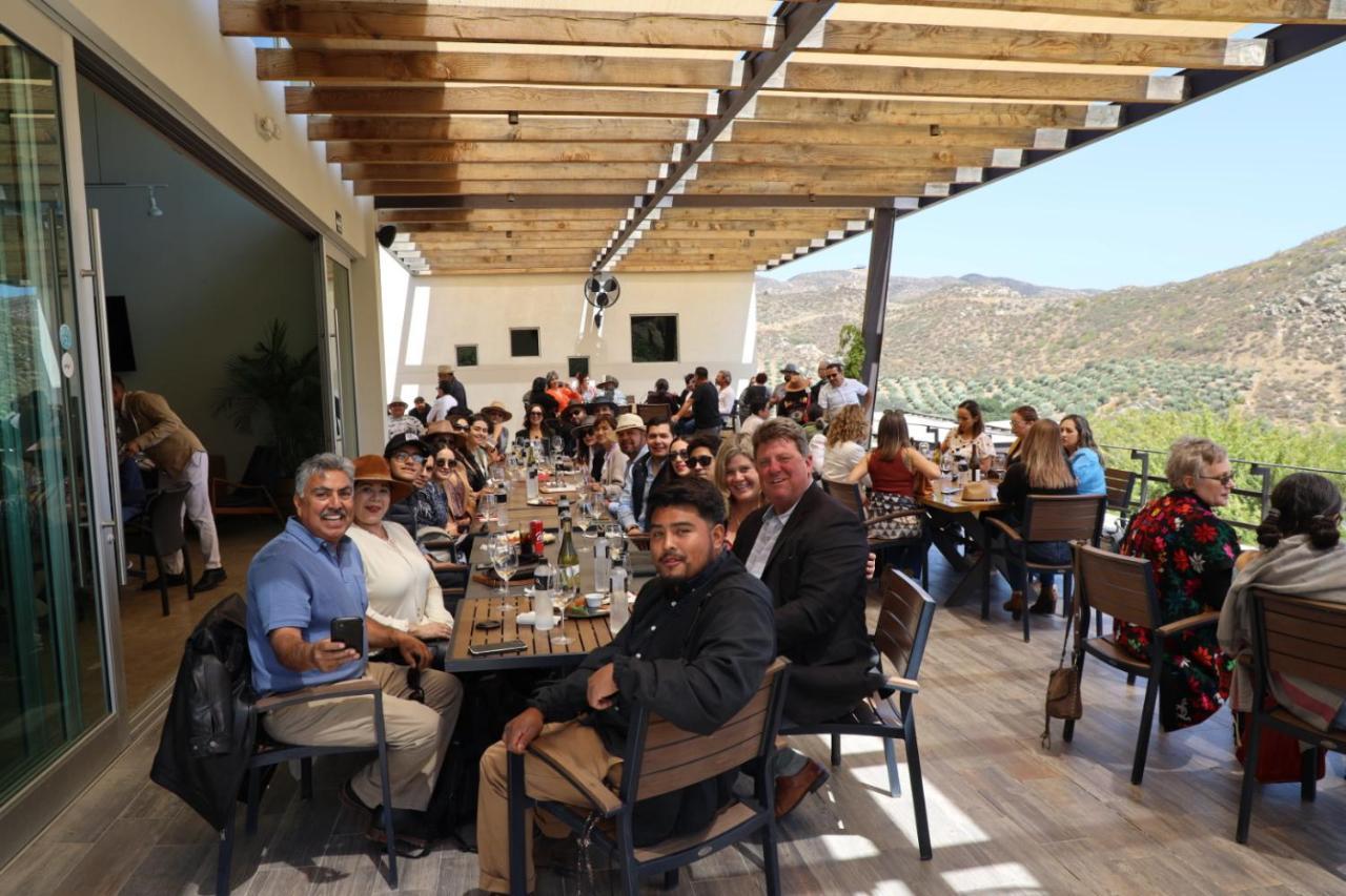 Ecovino Valle De Guadalupe Exterior foto
